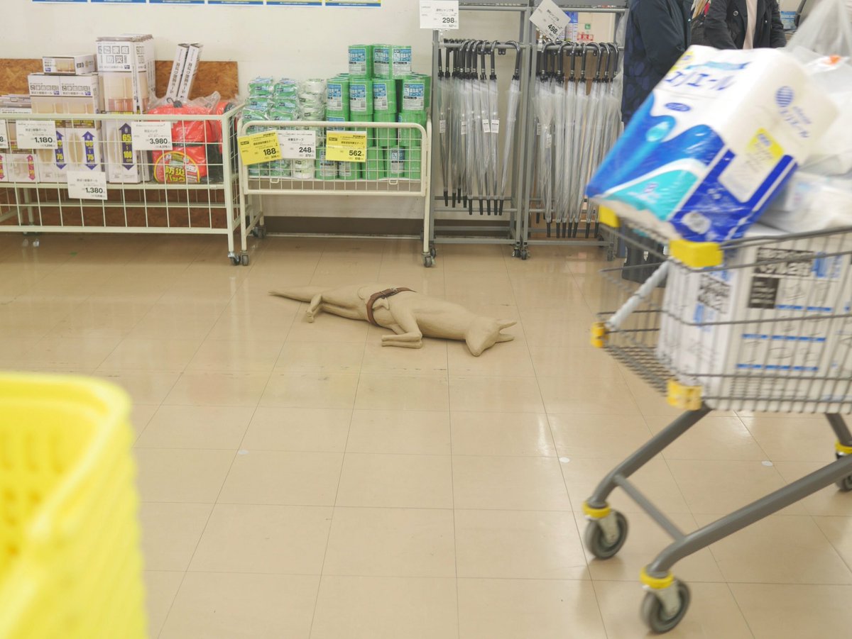 コーナン江東深川店に突如マーク マンダースの作品が展示されていた Togetter