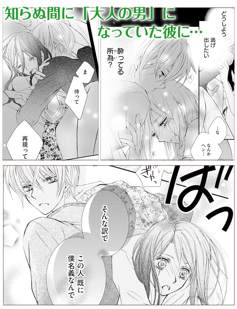 Silky シルキー Silky Web Twitter Silky シルキー Silky Web Twitter