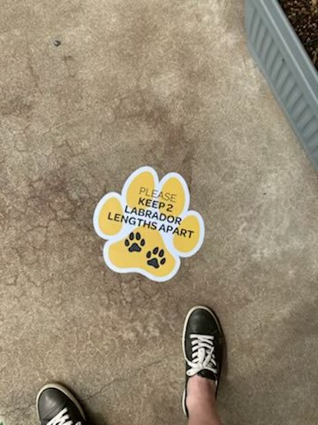 This is for you ⁦<a href="/mikegillham99/">mike gillham</a>⁩ 🙂