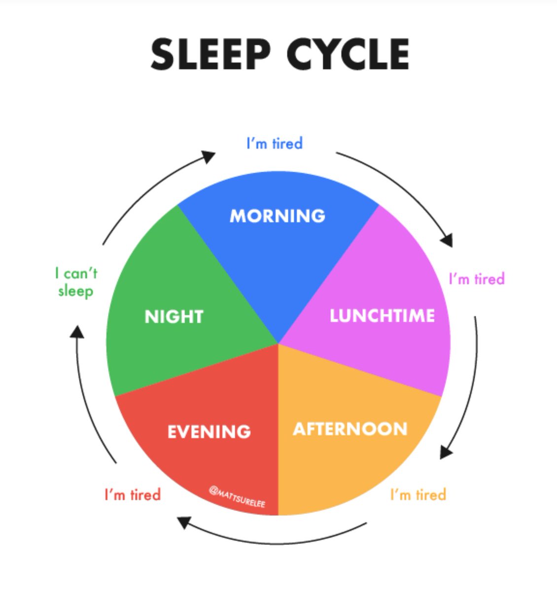 Kate Maria tweet media