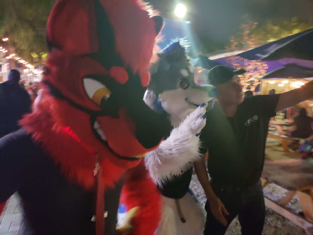 Polt_Ash's tweet photo. When furries invade #Hallowyn , you know the party won't stop! Had an awesome Halloween with some local furs!
@JennyFurArt @TrebleHusky @Gumptionshoe @Deebeldombo
I dont have everyone's Twitter to feel free to @ yourself in! ๐๐๐ https://t.co/UBdWcT9JGj