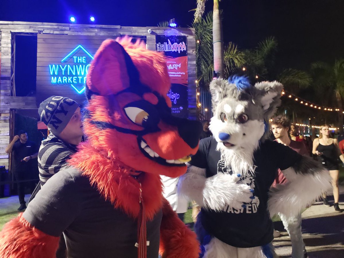 Polt_Ash's tweet photo. When furries invade #Hallowyn , you know the party won't stop! Had an awesome Halloween with some local furs!
@JennyFurArt @TrebleHusky @Gumptionshoe @Deebeldombo
I dont have everyone's Twitter to feel free to @ yourself in! ๐๐๐ https://t.co/UBdWcT9JGj
