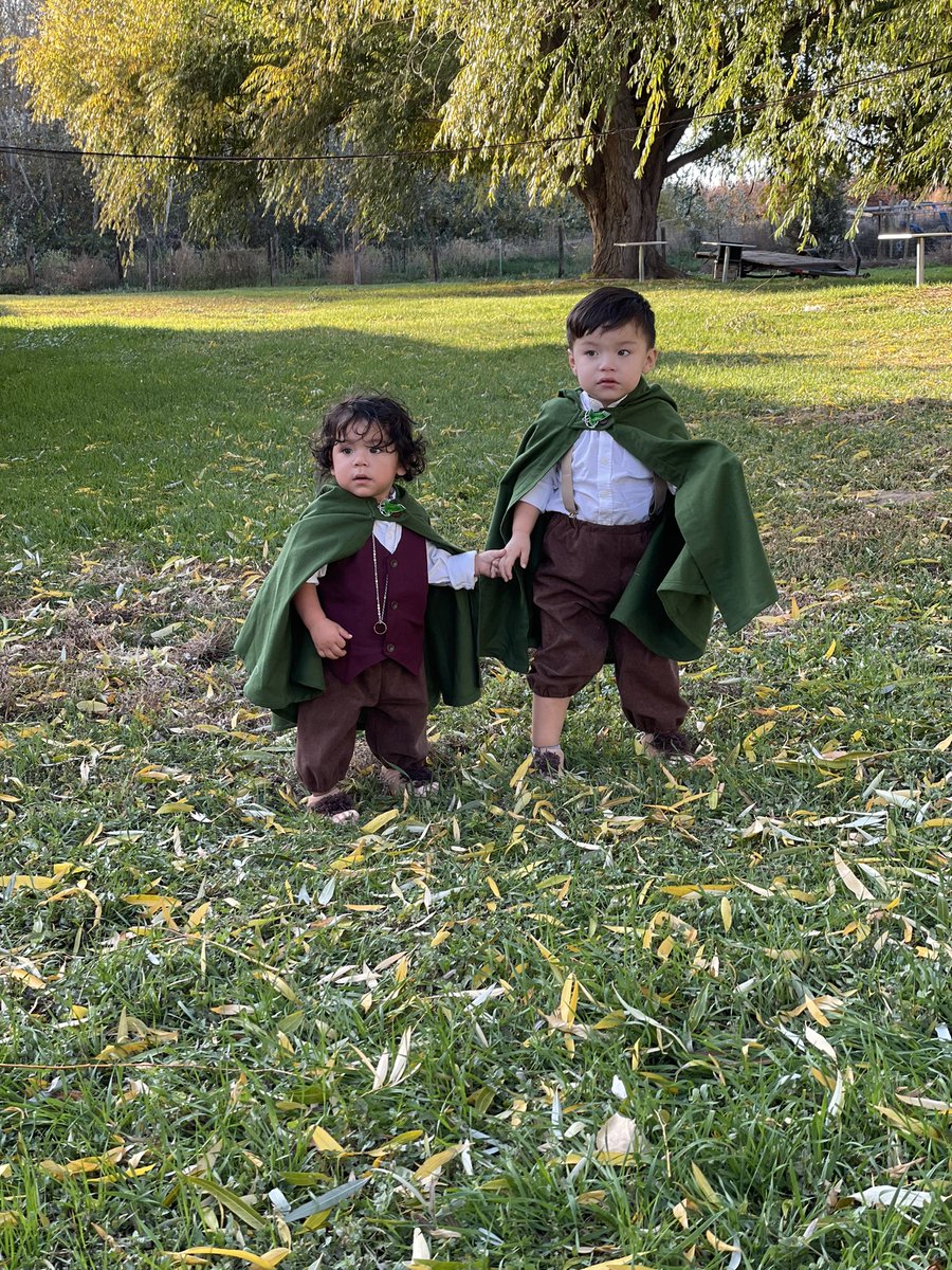 Mercy_Ramirez06's tweet photo. Made the nephews Frodo and Sam from LOTR. They’re too cute!!! @elijahwood @SeanAstin #LOTR #babyfrodo #babysam https://t.co/SQLrF1BETN