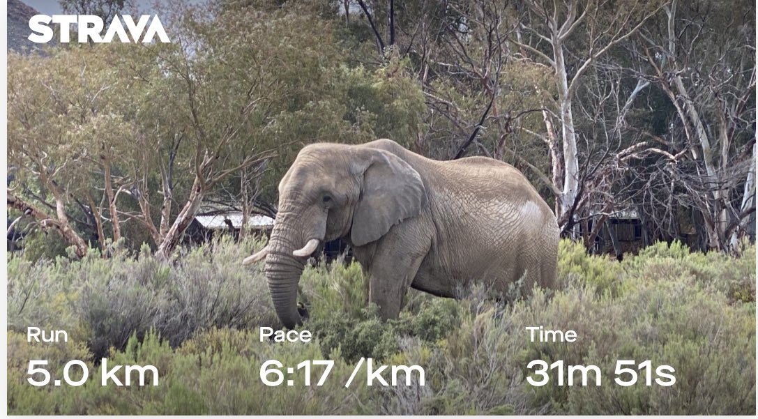 tumisole's tweet photo. #RunningWithTumiSole
#ElectionDayRun done
Let me get ready to go vote โ๐พ https://t.co/9t8zrnRmOu