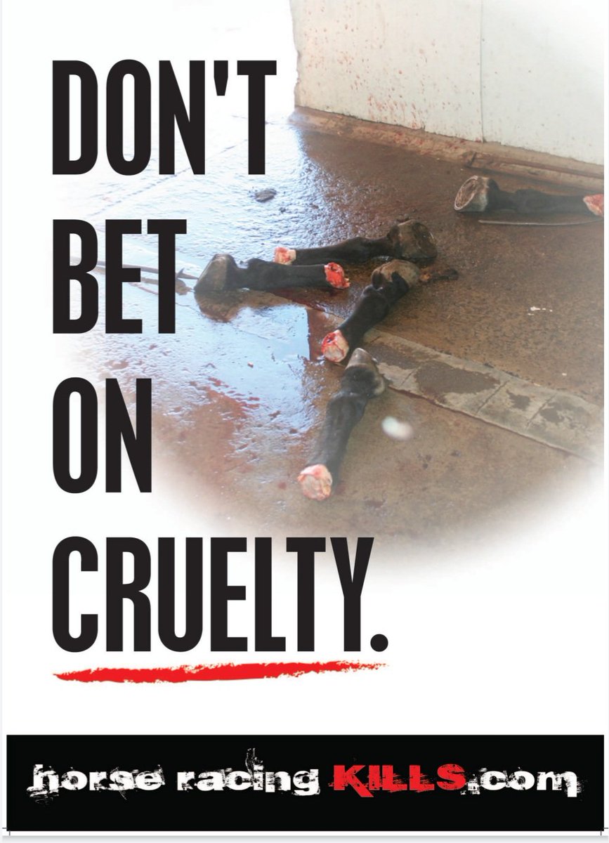 ThunderingOx's tweet photo. @tabcomau #YouBetTheyDie #BanHorseRacing #NupToTheCup #HorseRacingKills #AnimalAbuse #WatchDominion #DontLookAway #WatchDominonChallenge
https://t.co/JxpSheTOlB
https://t.co/K2JX7pcCEB
https://t.co/3NkfVl1Ccy
https://t.co/FahPajEiZX https://t.co/cAwnrkzSMY