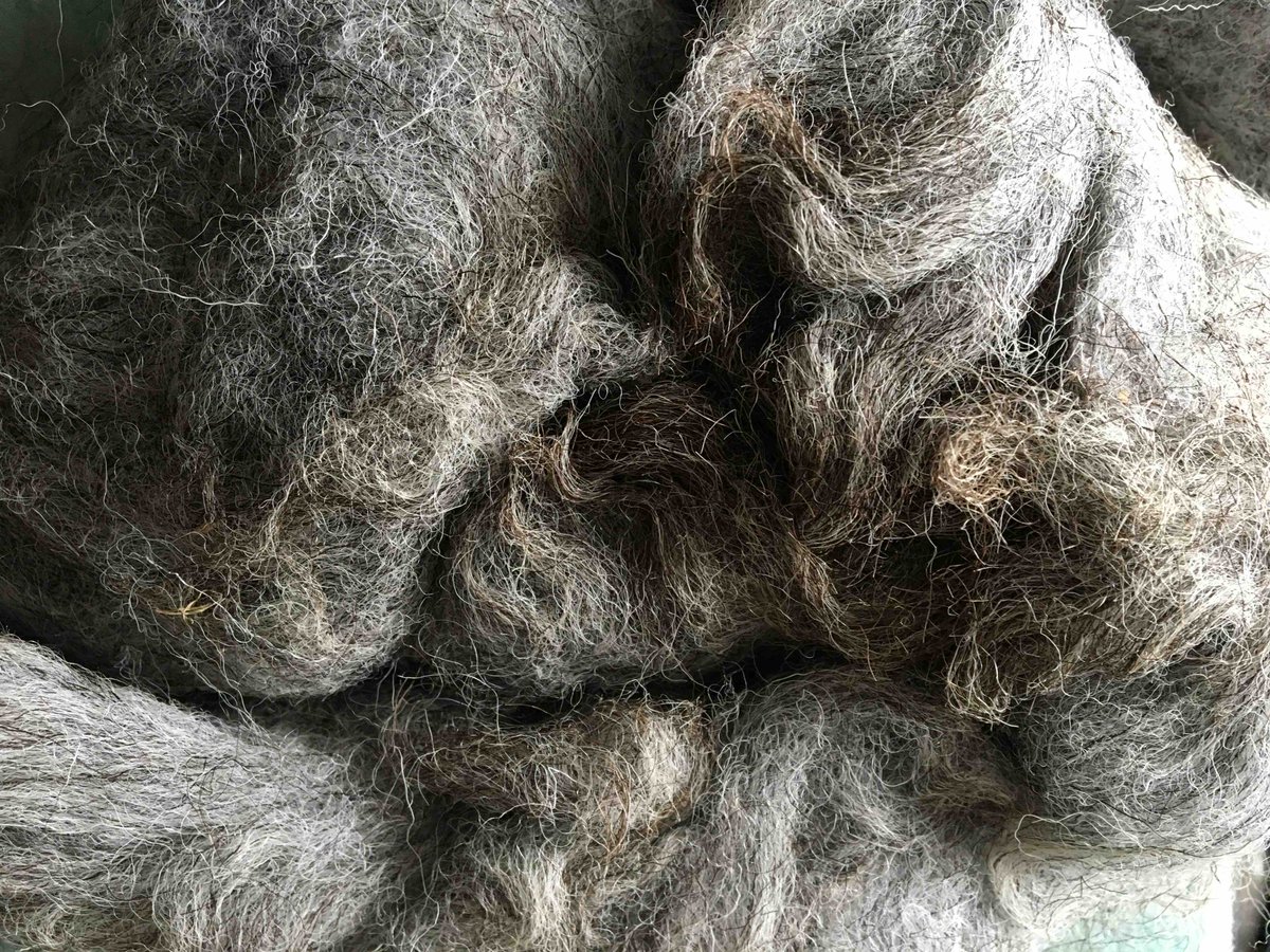 UllswaterFelt's tweet photo. It is day 1 of #wovember #whywool
It is #natural #sustainable #ecofriendly #biodegradable #sequesterscarbon #flameretardent #insulating #renewable #recycleable a multitude of uses! @DalefootCompost @thermafleeceUK @solidwool https://t.co/lwx9iQvXEb