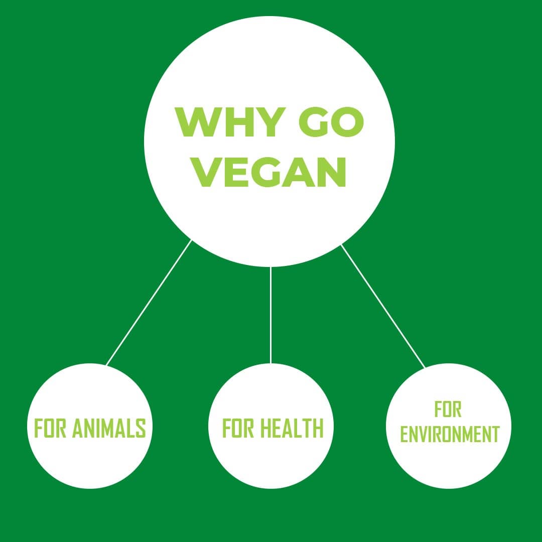 GulpJuice's tweet photo. Happy World Vegan Day๐
Today and everyday we're proud to celebrate that all our juices are cruelty free and vegan ๐
#WorldVeganDay
#VeganDay #vegan #mondaythoughts #veganism #healthy #healthylifestyle #gulpjuiceindia #gulptribe #gulpit https://t.co/NOIhNYgd5s