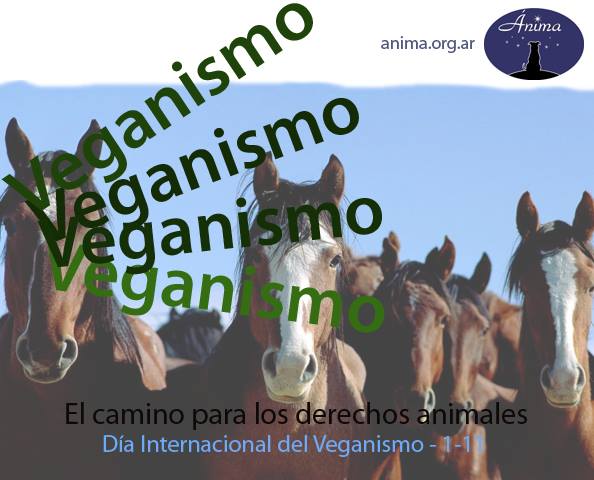 Anima_ddaa's tweet photo. 1º de noviembre - Día Internacional del Veganismo

El veganismo es una actitud de respeto hacia quienes sienten como nosotros. 

¡En defensa de todos los animales!

#Veganismo #GoVegan #LiberaciónAnimal #DerechosAnimales #StopEspecismo #WorldVeganDay #DíaDelVeganismo https://t.co/SWwmQ95AHU