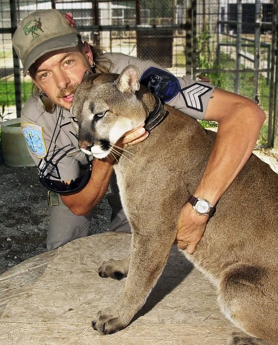 Mi amigo y yo nos disfrasamos de la serie de netflix de joe exotics king tyger 😅😅🤣🤣 https://t.co/god