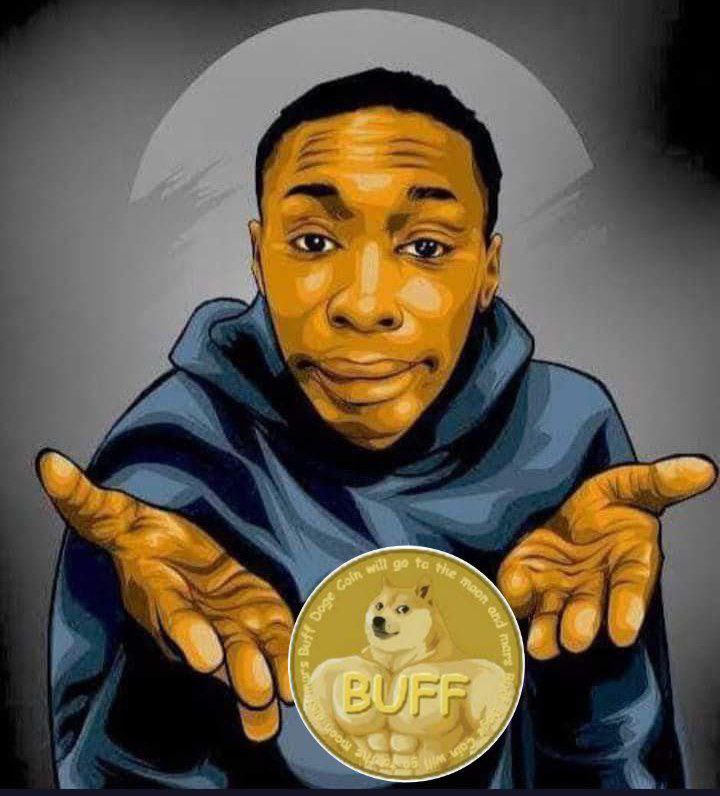 cryptokelt's tweet photo. @CoinDCX @buffdogecoin https://t.co/31Ct4eU9Cp