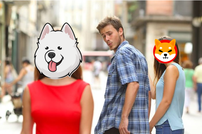 jessylee1092's tweet photo. @Coin98Analytics @coingecko @KlimaDAO @RichQuack @RmrkApp @yooshi_official @samoyedcoin @TheUFOtoken @WSGToken @KumaInuOfficial @decentraland @babydoge $SAMO attracts everybody's attention!!

$SOL #samofamo #samoiscoming #samoyed #soldog #solfam #samocoin #solana https://t.co/9JHCx1Frjr