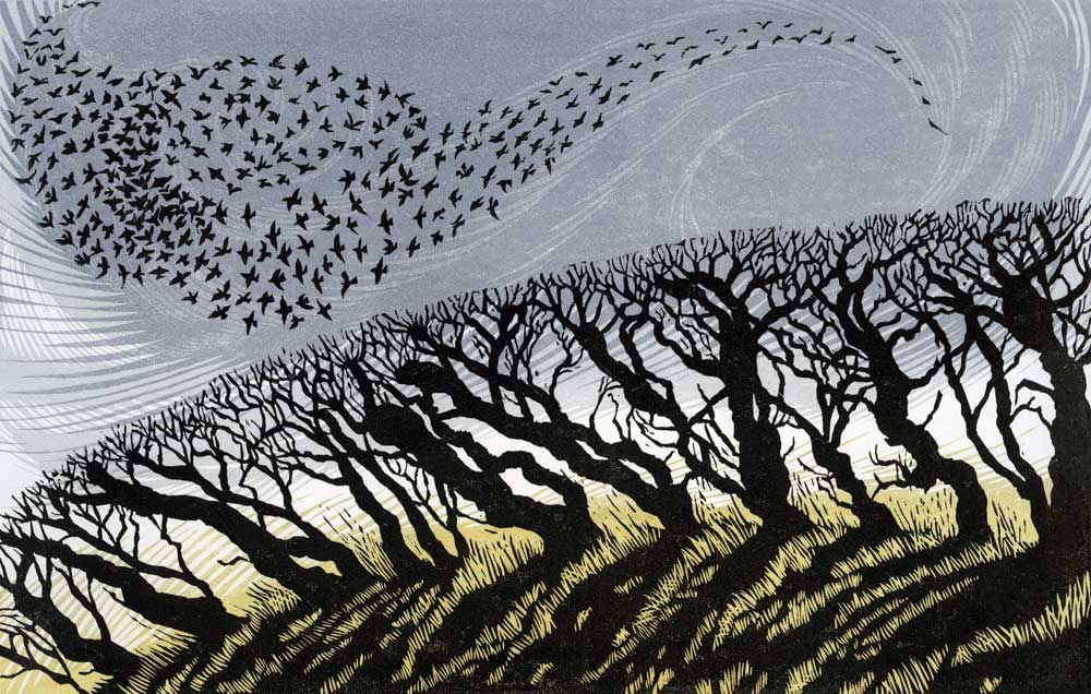 'November Starlings' by Niki Bowers, Norfolk-based, UK contemporary printmaker #WomensArt