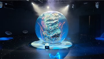 神戸ポートミュージアム 水族館アトアのチケット購入方法は 事前予約は必要 わくわく情報 Com