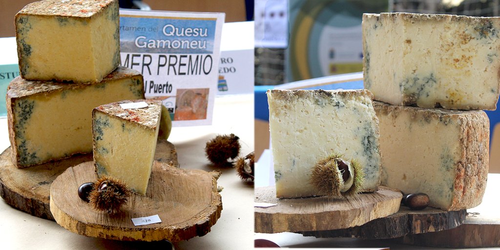 DOP Gamonéu tweet media