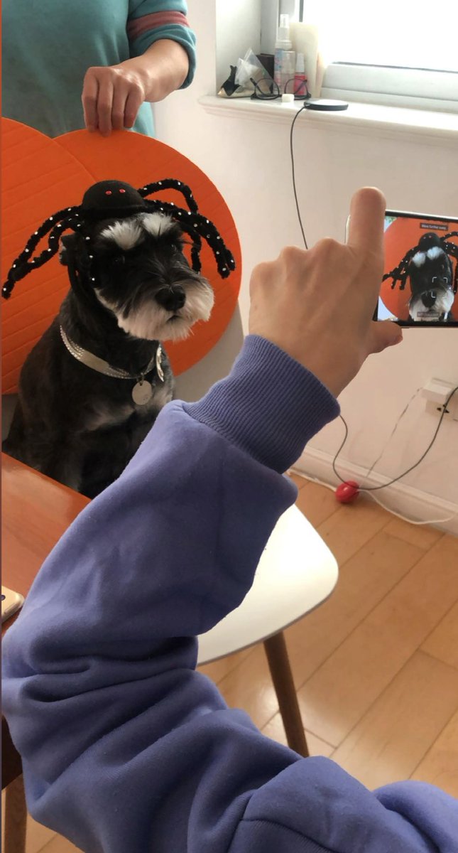 she looks so uncomfortable but happy halloween from nugget 🤪