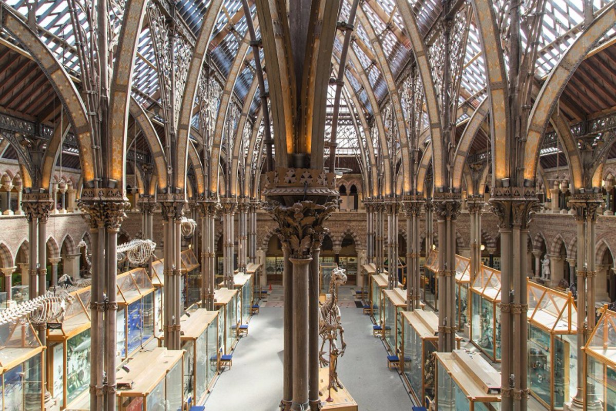 Oxford University Museum of Natural History tweet media