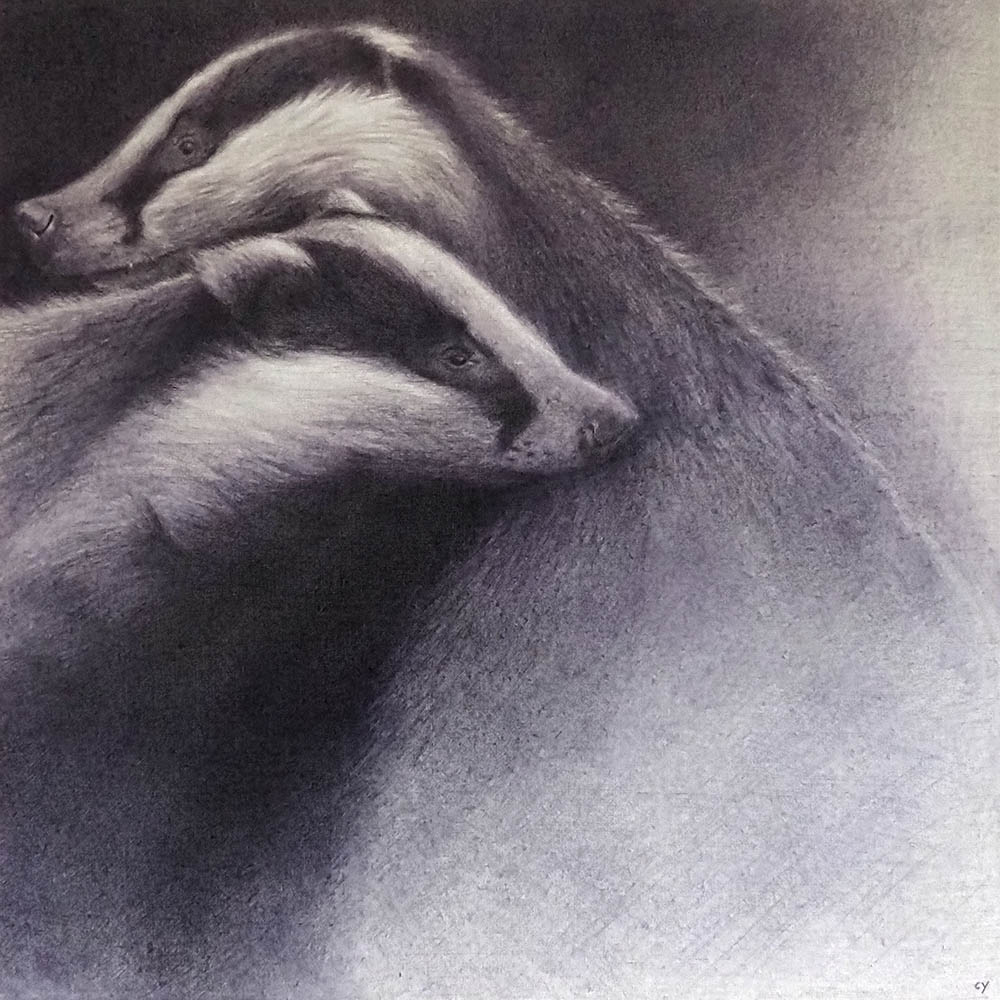 cybaker1's tweet photo. Just completed my latest work. Don't you just love #Badgers Click to learn more https://t.co/QUpOXs6k7q
#art #ArtistOnTwitter #british #wildlife #wildlifeart @BoldBadgers
@LancsBadgerGp @CravenBadgers https://t.co/NAe63gQnCo