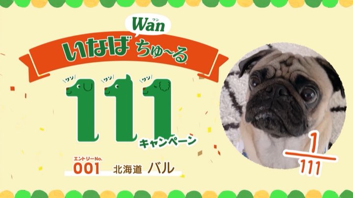 いなば Inabaちゅ る Inaba Campaign Twitter