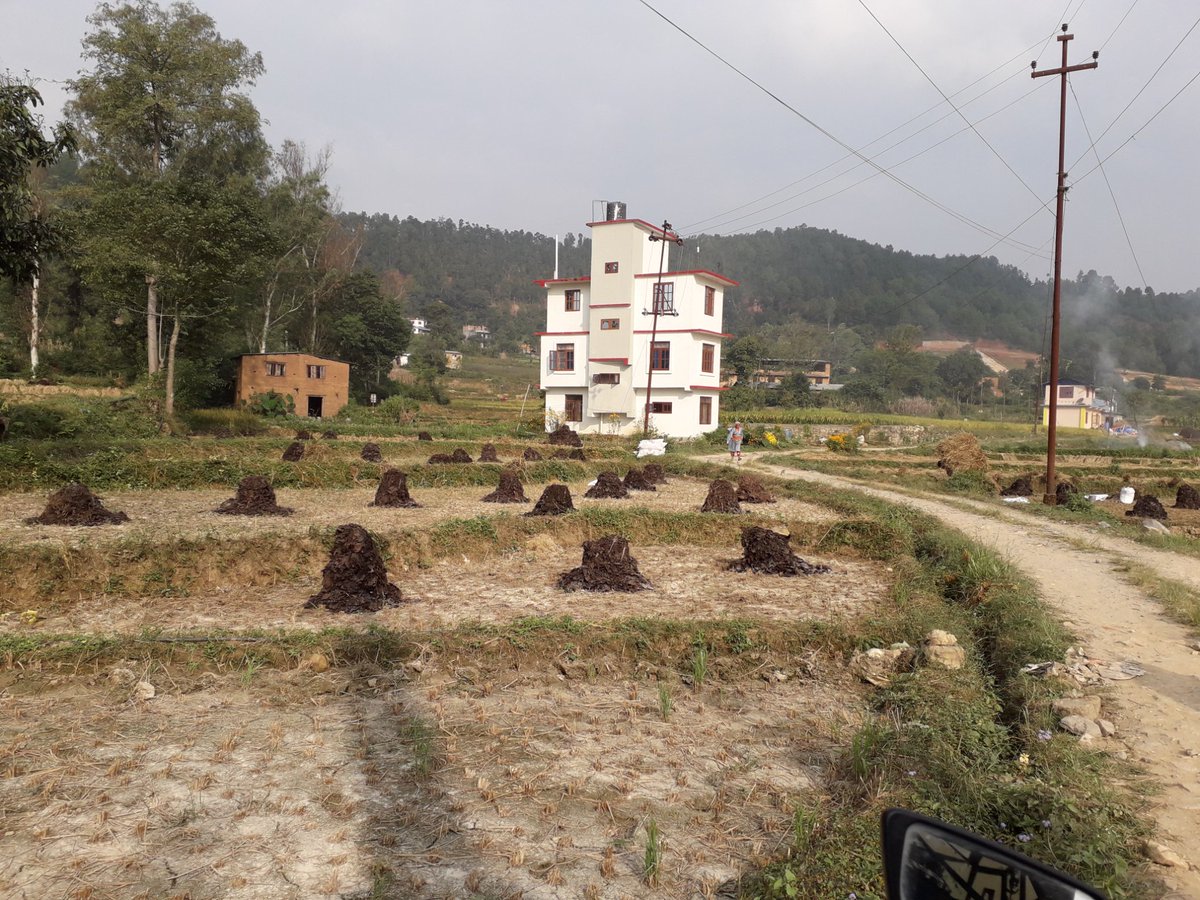 NepalVisit3's tweet photo. Travel with Himalayan Little Buddha Treks in Nepal. We Offer: Trekking, Rafting, Wildlife Safari, Hotel Reservation, tour to Tibet, Bhutan &amp; India, etc. Please, write to us our inbox. Thank you. https://t.co/lejkwKCaNH