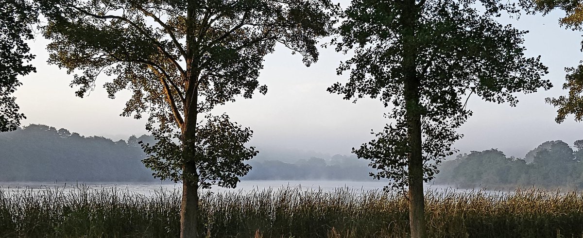 TheWelshEwe's tweet photo. Pinch punch, wishing you all a nice November xXx https://t.co/q7tkvczu20