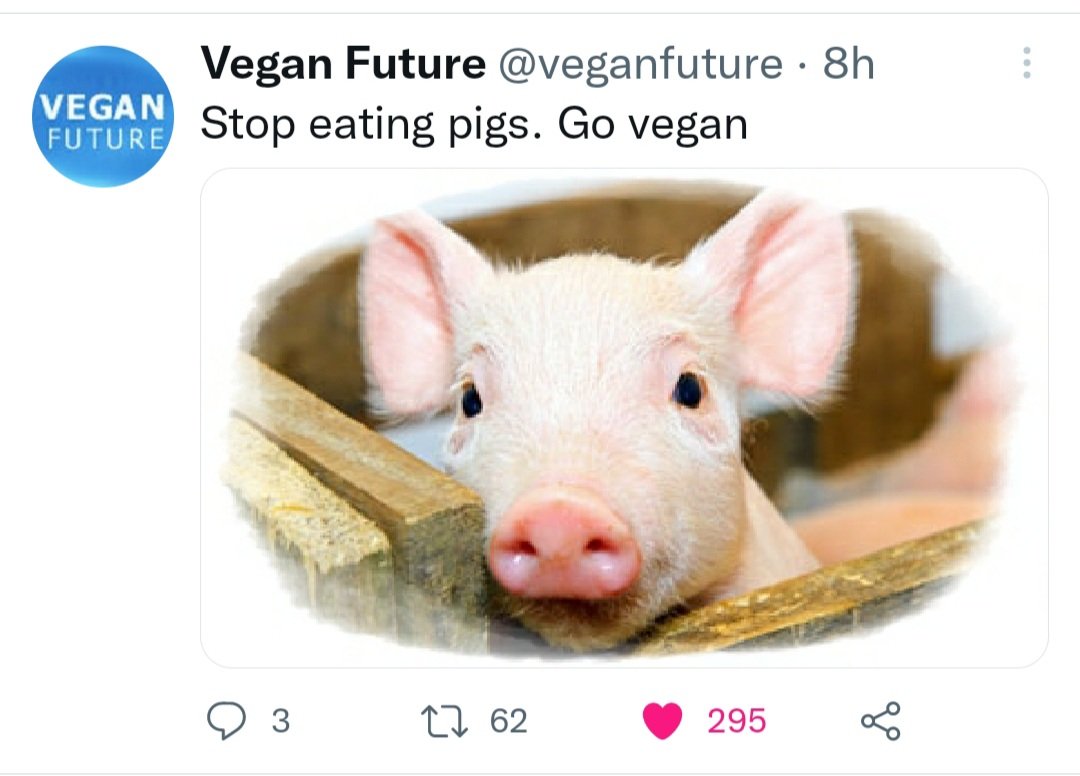 GreenmanMick's tweet image. Happy World Vegan Day - choose compassion, help avert runaway climate change and improve your own health - what's not to like ❤🌍🥑🍆🥕🍉🥦 #WorldVeganDay @VeganRunnersUK