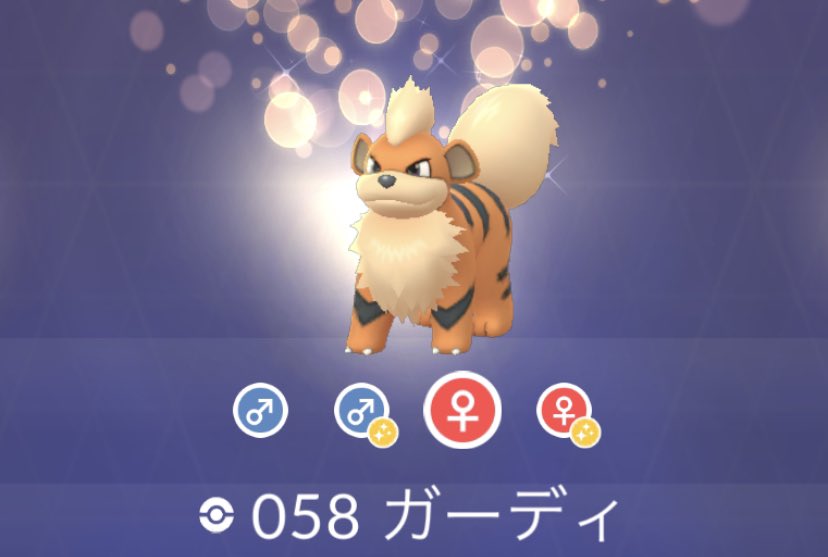 Pokemon Go Japan 今日は 犬の日 です ガーディー ヨーテリー トリミアン が公園で元気に遊んでいますね ポケモンgo T Co twjrdxlm Twitter
