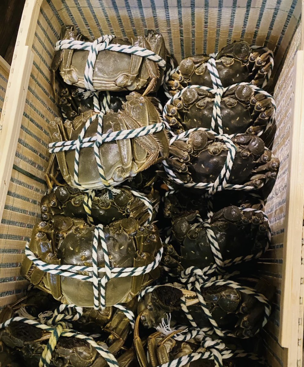 VrhmSWWaqAwEMFR's tweet photo. 关于吃蟹我是认真的🤤
你也是最后才吃蟹腿儿的吗？🦀🦀
#互fo https://t.co/CpGmvIgBo9