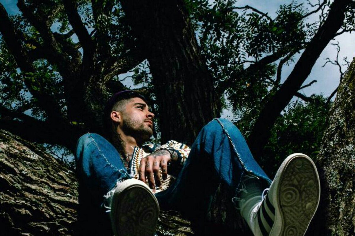 FIFMALIK's tweet photo. If they don't believe it
Just leave them ashore
Living abroad
Loving my broad

WE LOVE YOU ZAYN
RESPECT ZAYN
#istandwithzayn
#respectzayn https://t.co/TGGPRiflHm
