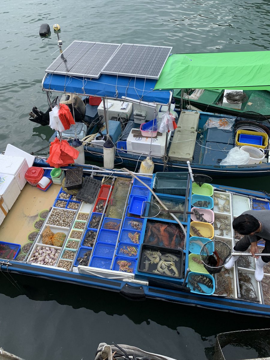 LindyLouMac's tweet photo. Selling fresh fish directly from the boats quay side in Sai Kung on Sunday morning.#hongkong #saikung #fishsales #fish #quaysidemarket https://t.co/16lTPaY0Ch