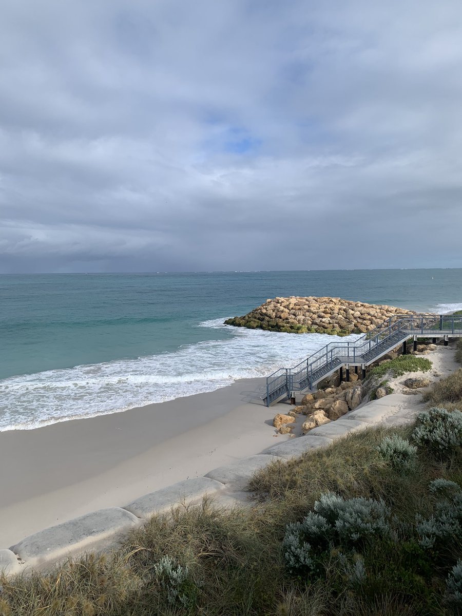 MMG9898's tweet photo. This mornings fun outing with a hint of rain with my mate Flo. #MichelleRuns #Quinnsrocks #Australia #KeepITFit https://t.co/zEIt91qhqI