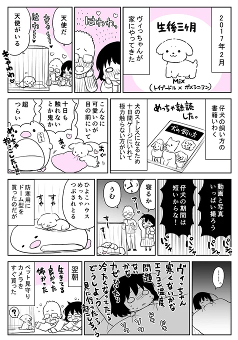 「仔犬を初めて飼いました」櫻井家のエッセイ風漫画(1/3)
#犬の日 