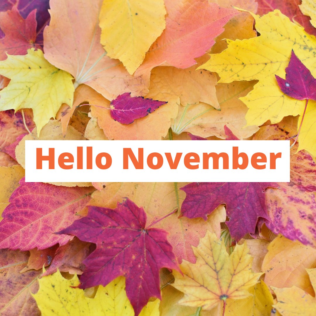 Hello November, I hope we have all recovered from the clocks changing and back into the swing of things with schools being back. Not enough hours in the day, let us take care of the housekeeping.

Give Julee a call on 01889 220 968 for a free no obligation quote.  #housekeeping