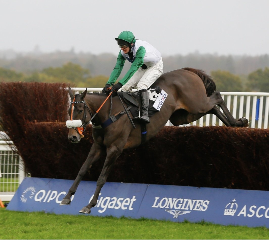 racingblogger's tweet image. Happy Retirement Vinndication ❤

A brilliant horse @kimbaileyracing
@NichollsMat he done you proud!