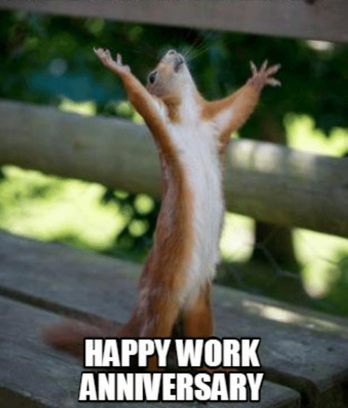 panmitz's tweet photo. Today I'm celebrating two wonderful productive years at @catalink_eu ! Time flies when you're having fun🥳  #workanniversary #thankyou https://t.co/KWJNMWjyk0