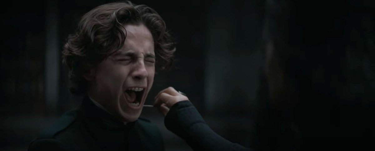 Triggering as it was, I appreciated the scene in DUNE depicting the meeting between the PhD student and his dissertation advisor