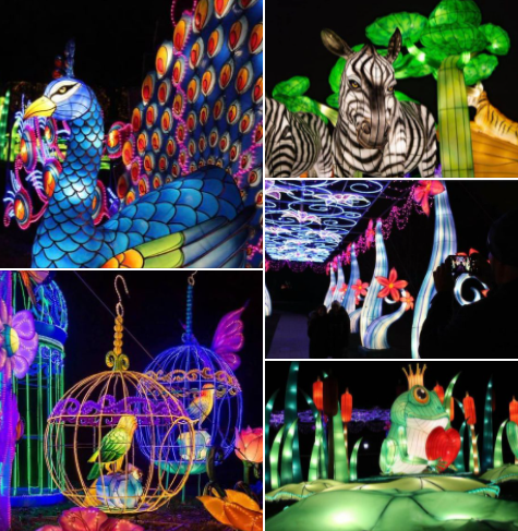 SITCACDOE's tweet photo. Happening Now Through 1/9/22! Bring your family and friends to an immersive experience at Staten Island's Annual NYC Winter Lantern Festival🎆 @SnugHarborCCBG #statenisland #sitcac #sievents https://t.co/vzNMDLeUu9