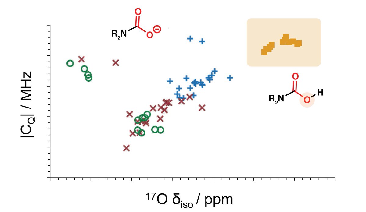 Alexander Forse (@alexforse1) on Twitter photo Very excited about this preprint from Astrid, <a href="/suzimay_pugh/">Dr Suzi May Pugh</a>, Marion et al.! We find that 17O NMR spectroscopy is a powerful new tool to understand carbon capture chemistry!
chemrxiv.org/engage/chemrxi… <a href="/ChemCambridge/">Cambridge Chemistry</a>
@solidstateNMR <a href="/UKCCSRC/">UKCCSRC</a> <a href="/MOF_papers/">MOF Papers</a> Very excited about this preprint from Astrid, <a href="/suzimay_pugh/">Dr Suzi May Pugh</a>, Marion et al.! We find that 17O NMR spectroscopy is a powerful new tool to understand carbon capture chemistry!
chemrxiv.org/engage/chemrxi… <a href="/ChemCambridge/">Cambridge Chemistry</a>
@solidstateNMR <a href="/UKCCSRC/">UKCCSRC</a> <a href="/MOF_papers/">MOF Papers</a>