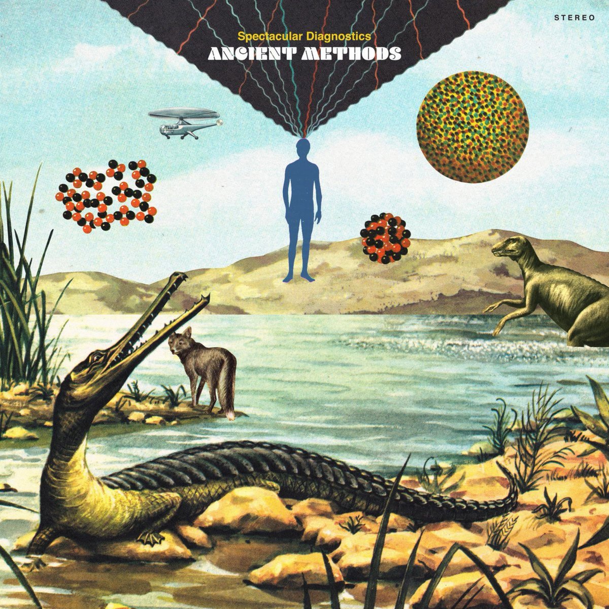 Bonafide tweet media