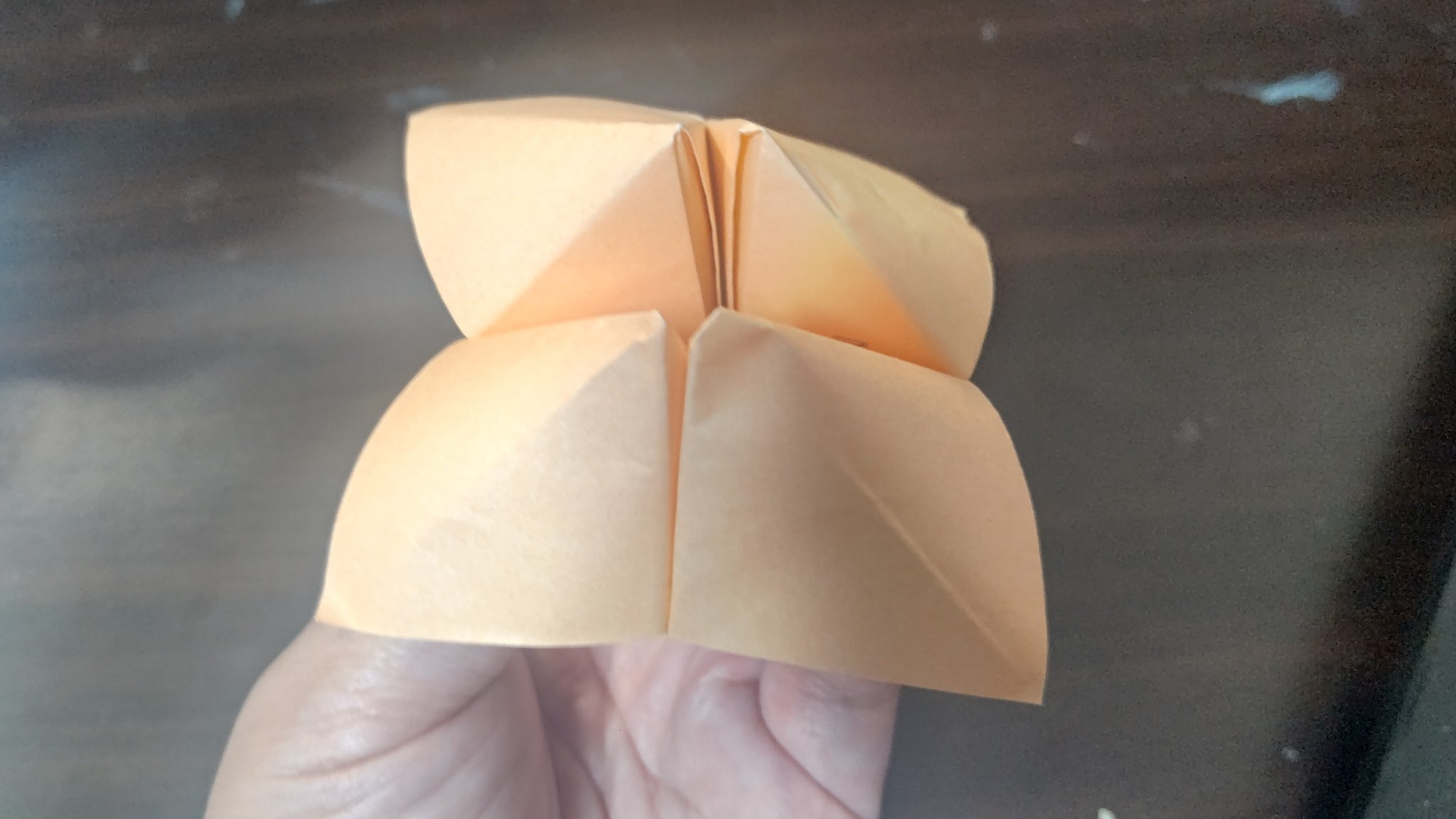 荒巻シャケ 養成校の授業でこの折紙で遊びました その時に 子どもの頃に何て名前で読んでた と聞いたら いろいろでました パックンチョ パクパク はえとり えりまきとかげ パックンフラワー 留学生からは 東南西北 面白い T