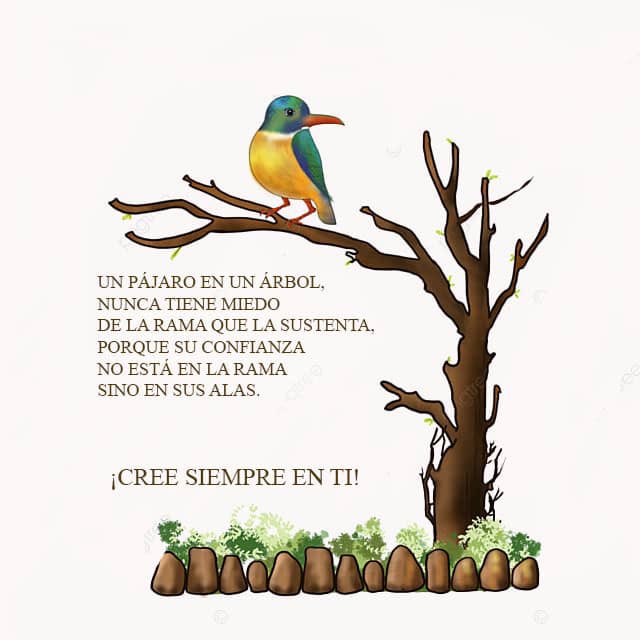¡Cree siempre en ti ! <a href="/Axana_BM/">Axana Botey M</a> <a href="/Belar_Buika/">Belar Buika</a> <a href="/edu_bonee/">Emilio Edu Ondo Bonee</a> <a href="/MonsEkobo/">Genoveva Ekobo Mons</a> <a href="/MonsEkobo/">Genoveva Ekobo Mons</a> <a href="/SkyAkuru/">Ángeles Akuru</a> <a href="/mayer852/">Rafael Mayer Sr.</a> <a href="/NkeneNgomo/">Estanislao ngomo NGOMO NKENE</a> <a href="/CarlosEndje/">Carlos Endje Ngonde</a> <a href="/MiguelAngelNdo7/">Miguel Angel Ndong</a> <a href="/BINDOKI/">BINDANG NDONG OKIRI</a> #EducacionFinanciera