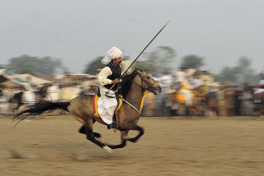 Abbrar's tweet photo. Malik Ata Muhamad Khan (late) was the beauty and pride of the tent pegging and for Pakistan.
Please retweet to promote the great culture of Pakistan.
#Pakistan #culture #photooftheday #abbrarcheema https://t.co/nrPOtWWiwd