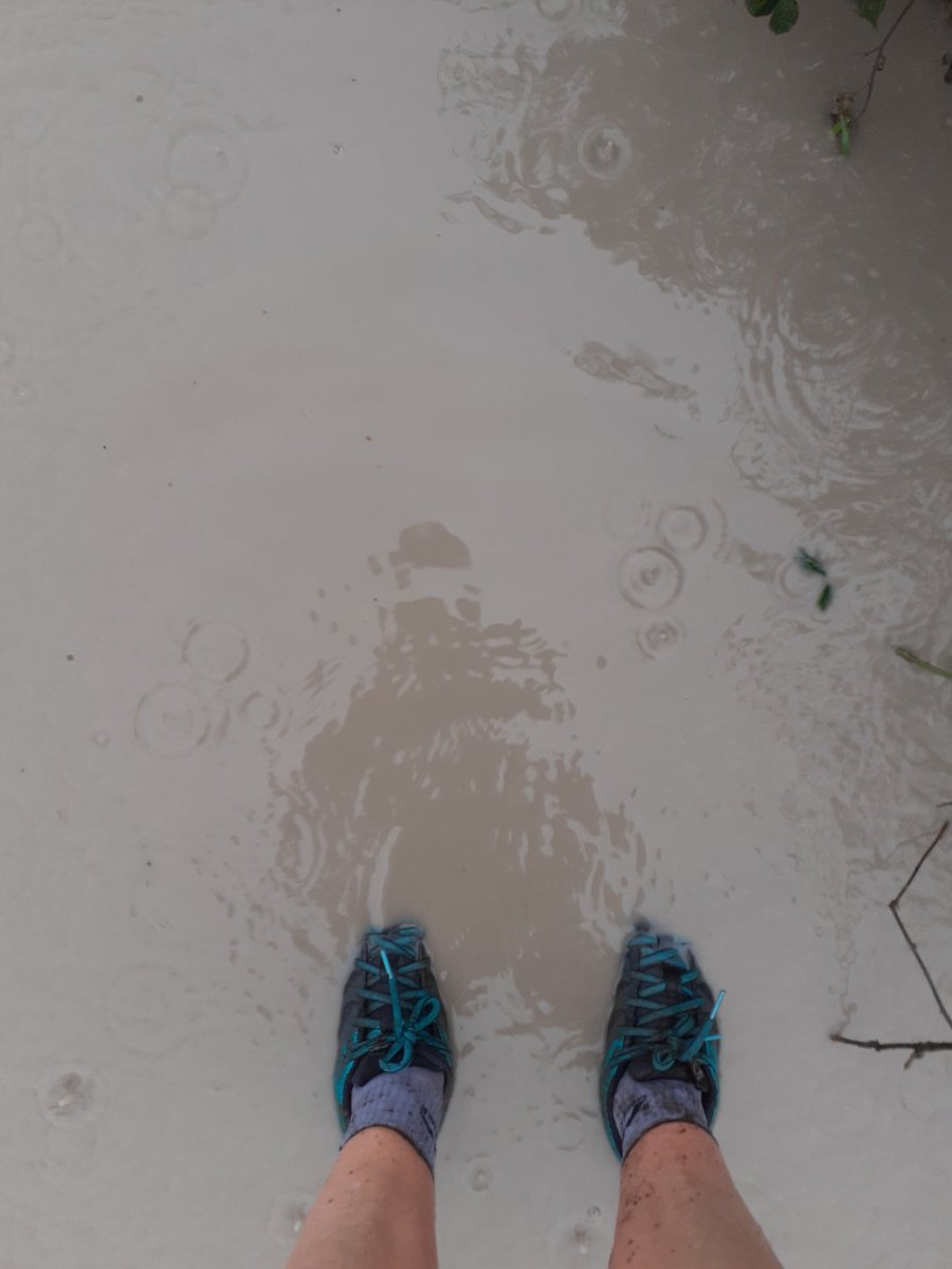 kvtr01's tweet photo. Today's conditions were too much even for the Parkclaws 275 GORE-TEX and the Montane Waterproof jacket. 
We do rain 🌧 well around these parts 🙄 
#whenwillitstopraining https://t.co/0EK9adsN2d