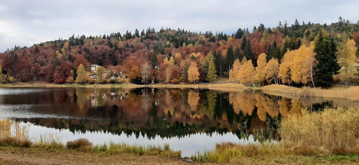 ANGELACONGIU's tweet photo. #lagosanto https://t.co/rQLqATprzG