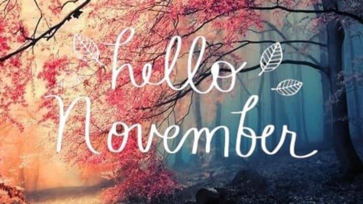 CCWellnessWorks's tweet image. 🍂Hello November🍂

🧡Season of Thanks
🍗Hearty Foods 
🔥Bonfires &amp;amp; Hoodies 
🌻And all those glorious Autumn colors!

▫️

▫️

▫️

▫️

▫️

▫️

▫️

▫️

▫️

▫️

▫️

▫️

🌊#CapeCod ⚓#WellnessWorks 🌊
#OldCapeApothecary #MuscleCalm #November #Autumn #Thankful #GivingThanks #Grateful