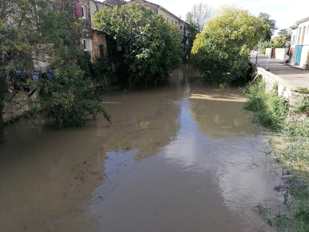 AdrienFour's tweet photo. Alors que le soleil est revenu sur les plaines du #Gard, le #Rhony, affluent du #Vistre, connaît à son tour une faible #crue comme ici sur la commune du #Cailar. Toutefois, pas d'inquiétudes, aucun débordement n'est à craindre. https://t.co/6DVLGTdizb