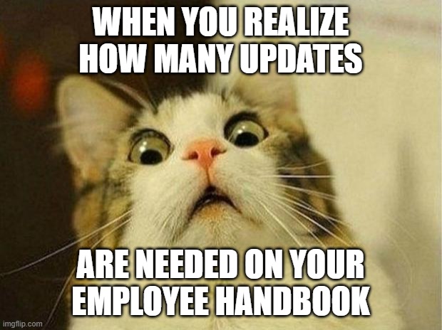 Create an Employee Handbook