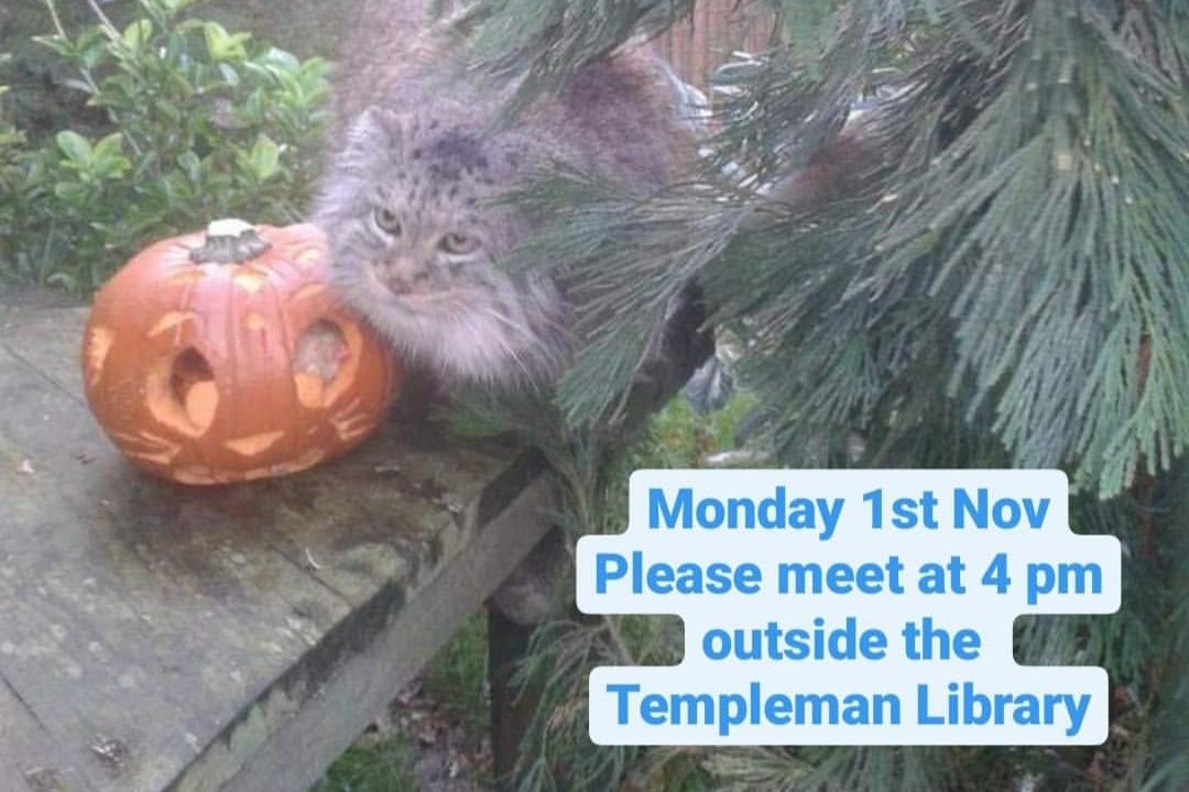 ConSocUKC's tweet photo. Event today! We're making enrichment pumpkins for ZSL and birdfeeders. 🎃
Tools will be provided, but we're outside so please dress warm 🧣🧤 https://t.co/lzZiWUguw5