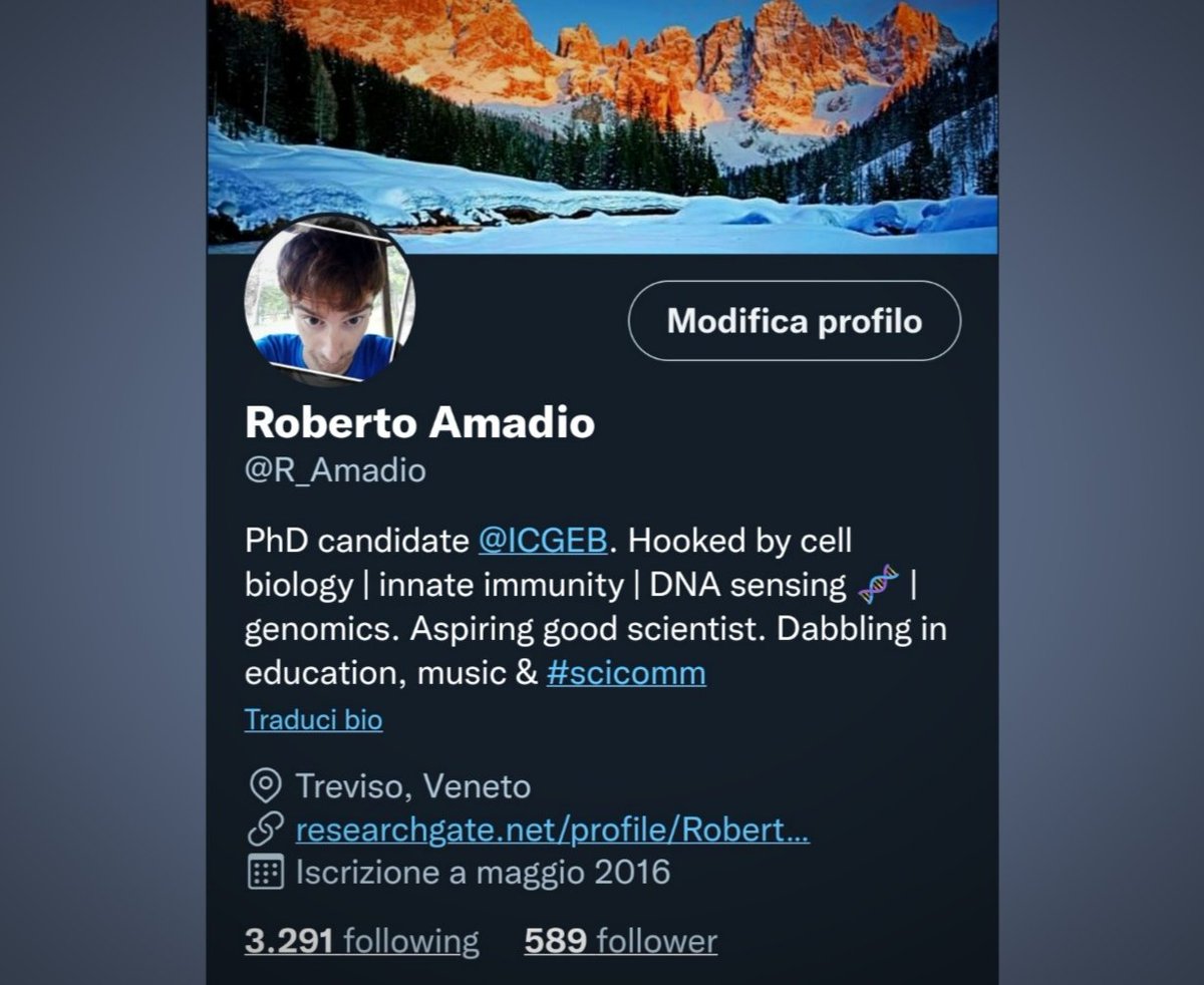 Roberto Amadio tweet media