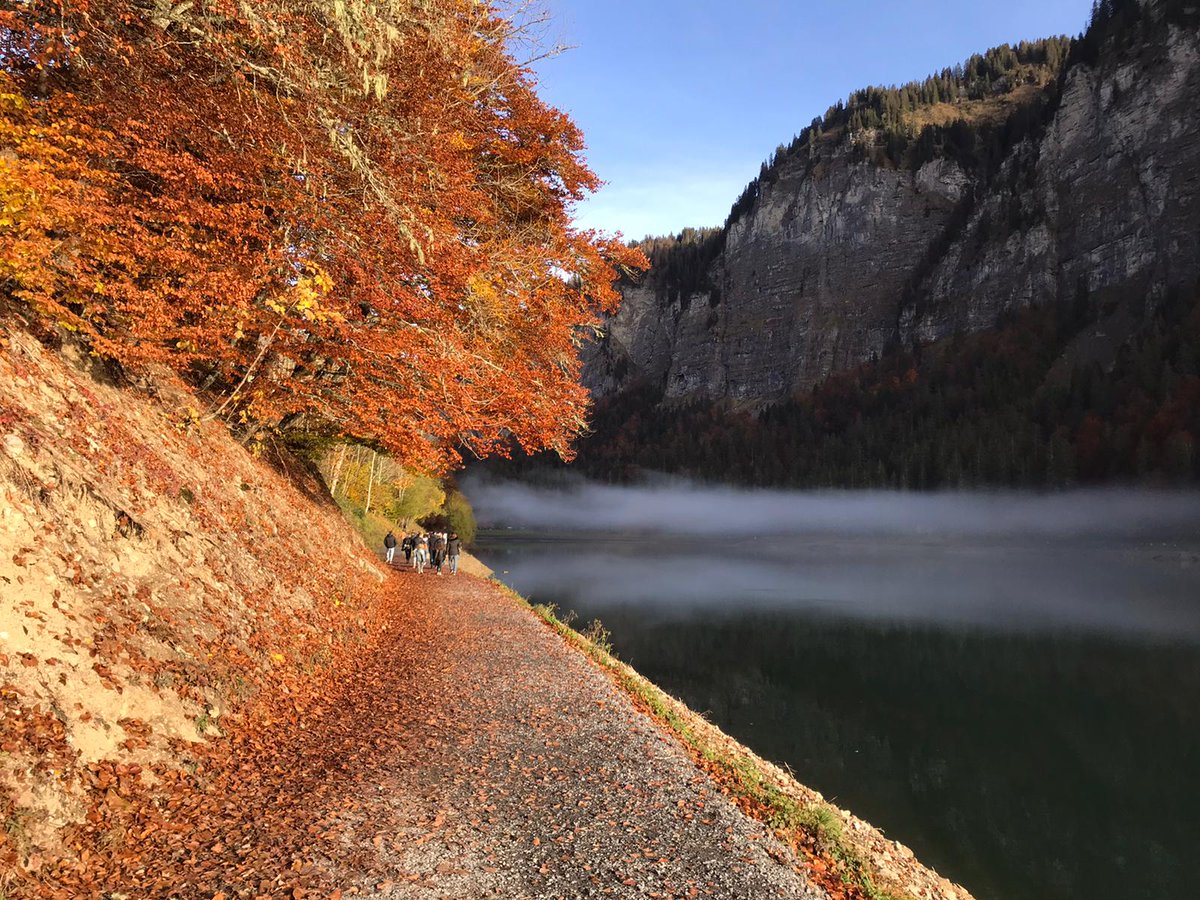 corporatepeaks's tweet photo. Nothing beats the colours of Autumn. Where is your favourite place to enjoy this season ?

#fall #AutumnFalls #Autumnwatch #fallcolors https://t.co/kPi50vL1Yb
