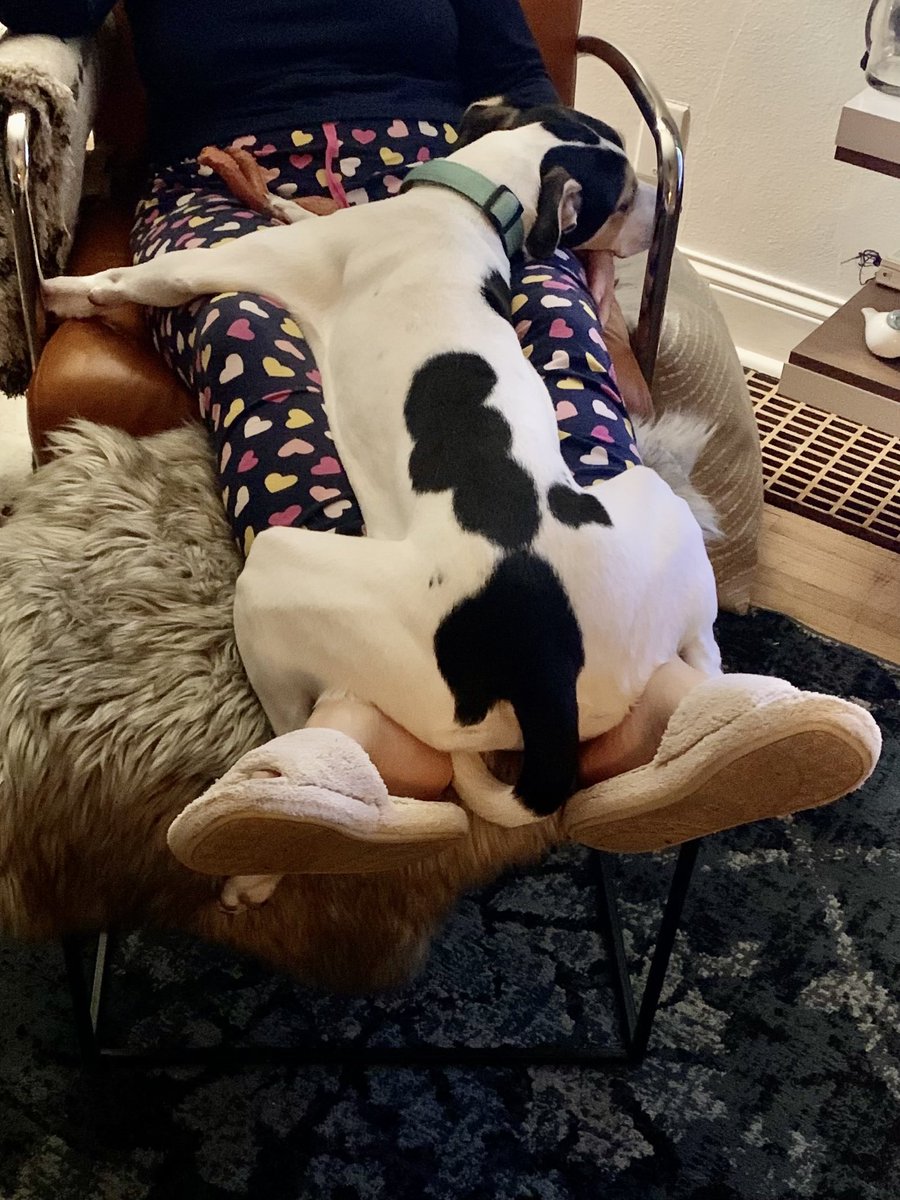 Laura Oakes tweet media